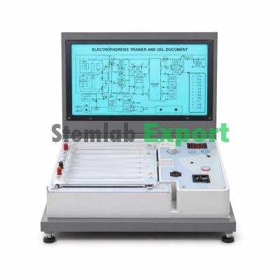 Electrophoresis Trainer