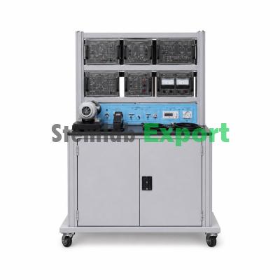 Power Electronic Module of Electric Vehicle