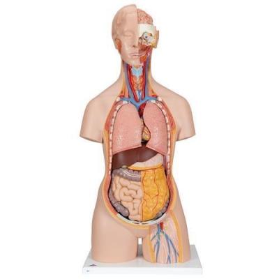 Biology Lab Equipments