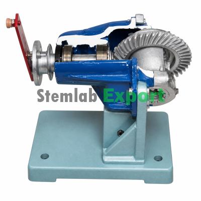 Differential Gear Model