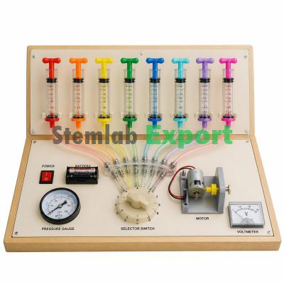 24-Base Protein Synthesis Kit Biology School Science STEM Kit