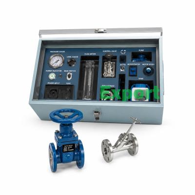 Assembly exercise: wedge gate valve and angle seat valve