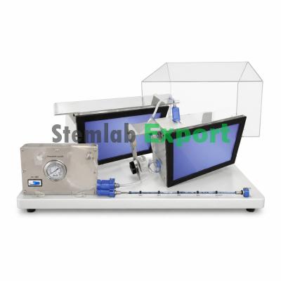 Thermodynamics Study Set